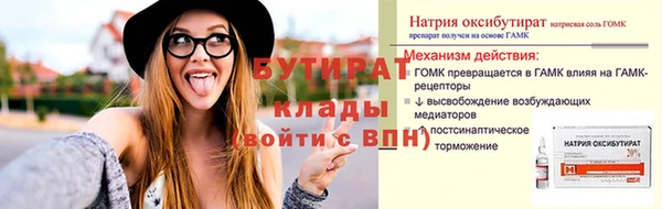 сатива Беломорск