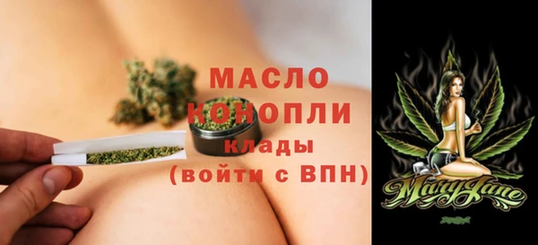 сатива Беломорск