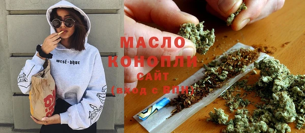 сатива Беломорск