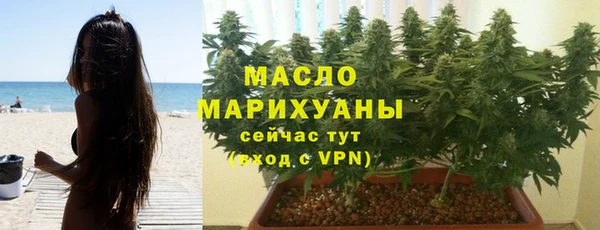сатива Беломорск