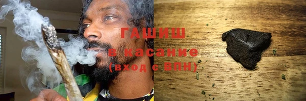сатива Беломорск