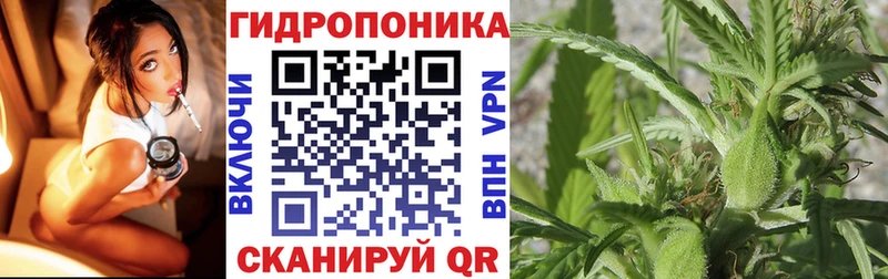 Конопля гибрид  Первоуральск 